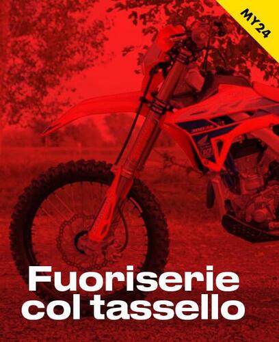 Honda CRF 300 RX Enduro Special