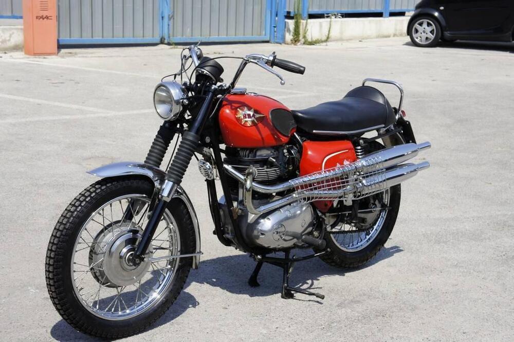 Bsa BSA A65 THUNDERBOLT SCRAMBLER  (2)