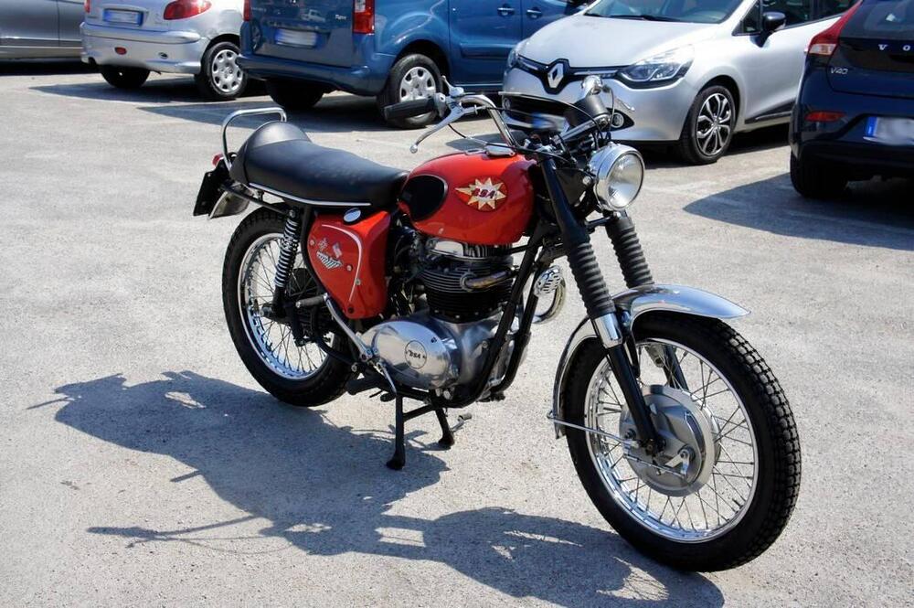 Bsa BSA A65 THUNDERBOLT SCRAMBLER  (3)