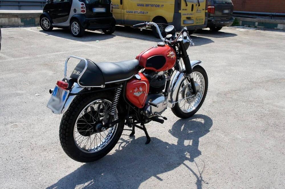 Bsa BSA A65 THUNDERBOLT SCRAMBLER  (5)