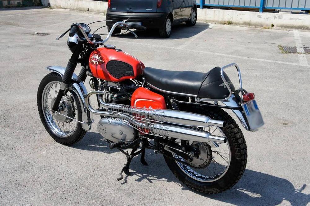 Bsa BSA A65 THUNDERBOLT SCRAMBLER  (6)