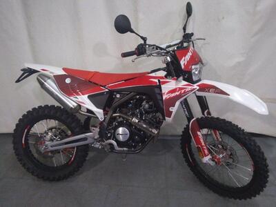 Fantic Motor XEF 125 Performance (2023 - 24) nuova