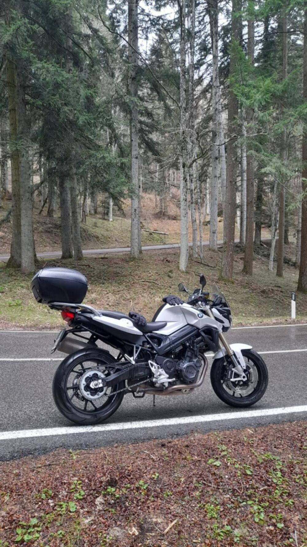 Bmw F 800 R (2015 - 16) (7)