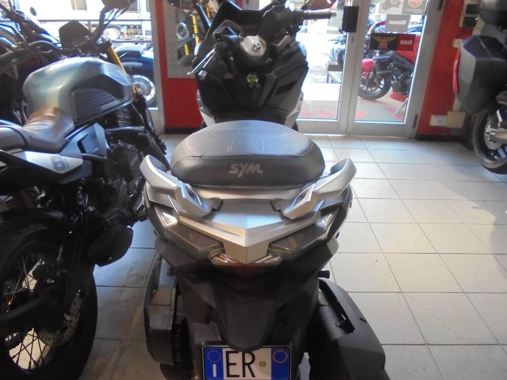 Sym Cruisym 300 (2017 - 20) (3)