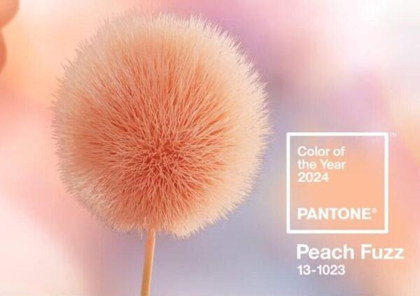 Ok, ma cosa caz*o &egrave; il peach fuzz, il colore del 2024, e cosa significa questa scelta di Pantone?