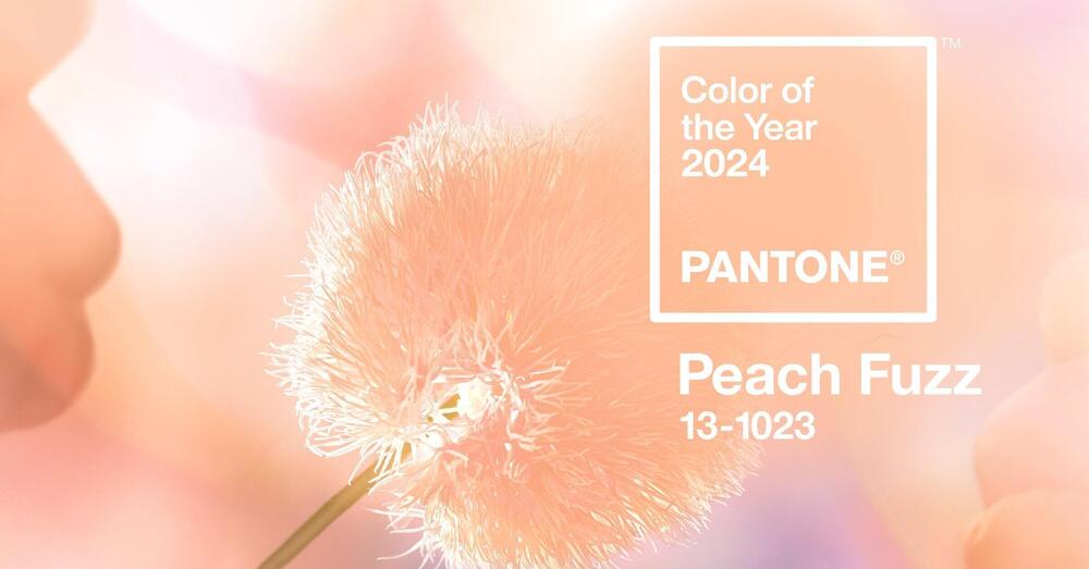 Ok, ma cosa caz*o &egrave; il peach fuzz, il colore del 2024, e cosa significa questa scelta di Pantone?
