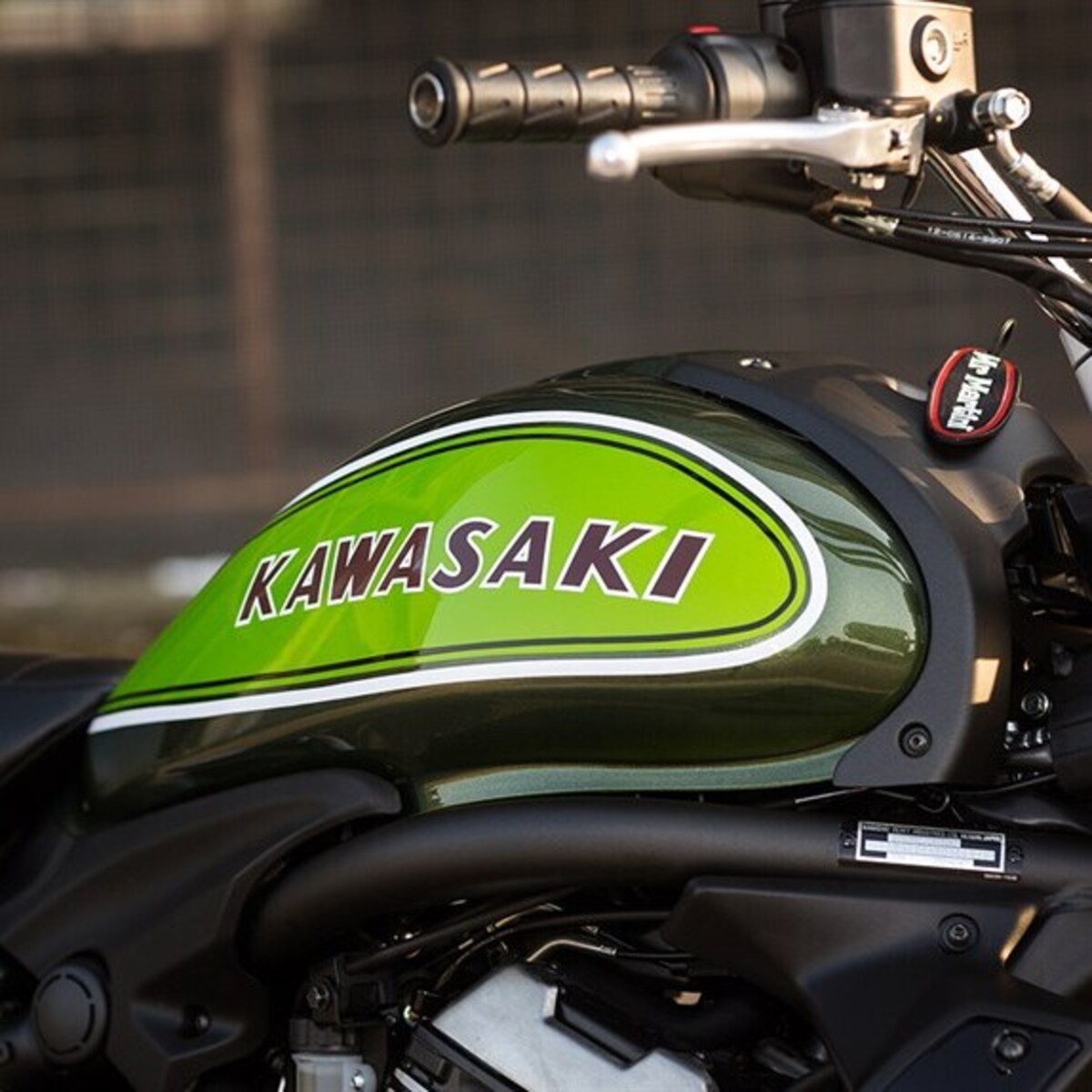 Kawasaki Vulcan 70 Mr Martini 650 ABS (2016)