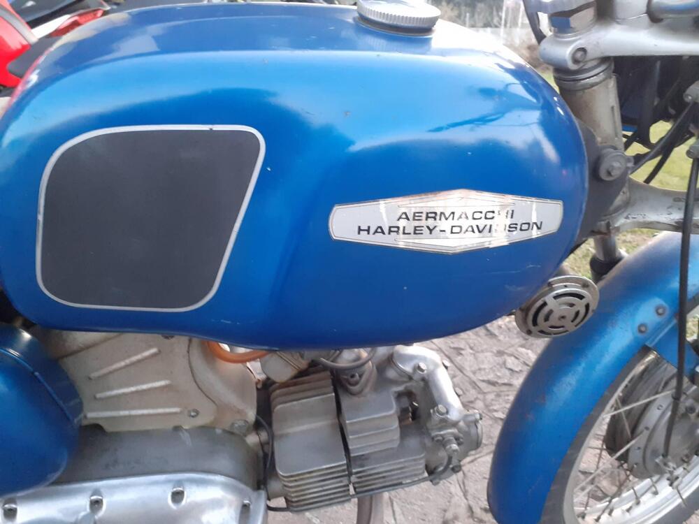 Aermacchi Harley-Davidson Tv 350 (6)
