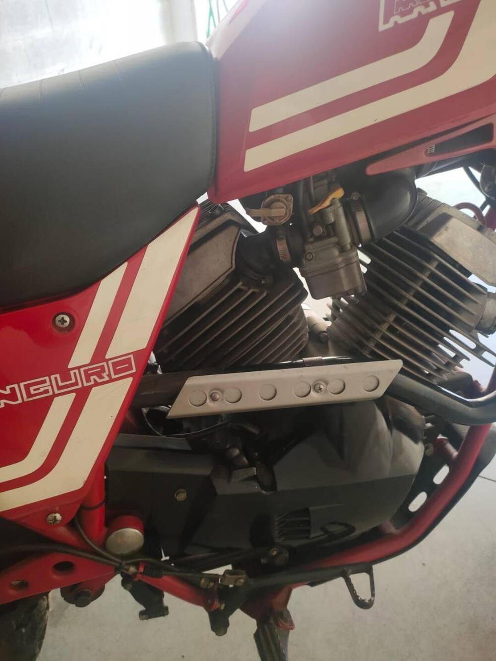 Morini CANGURO 350 (5)