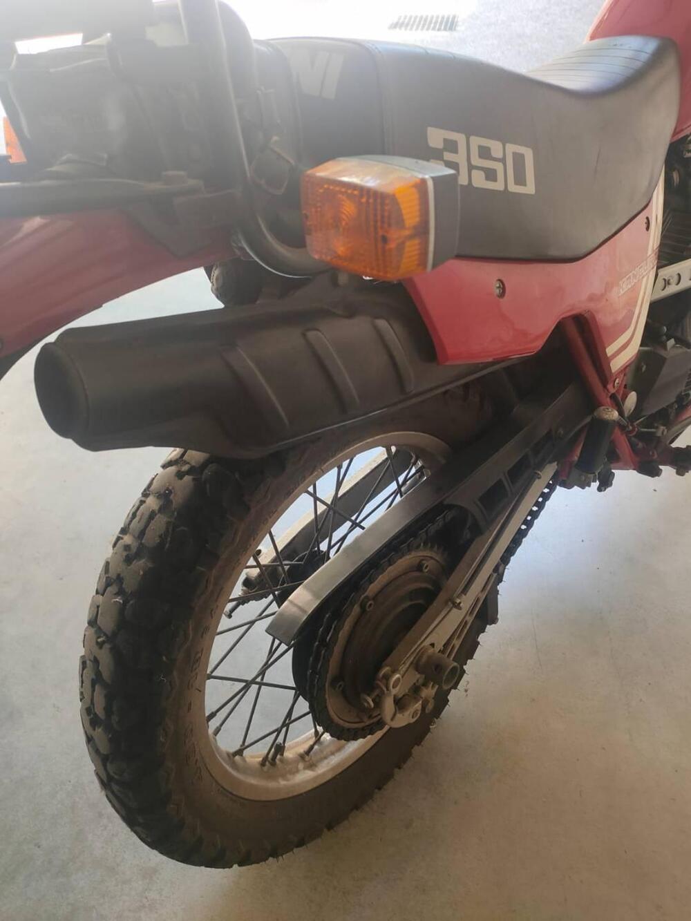 Morini CANGURO 350 (6)