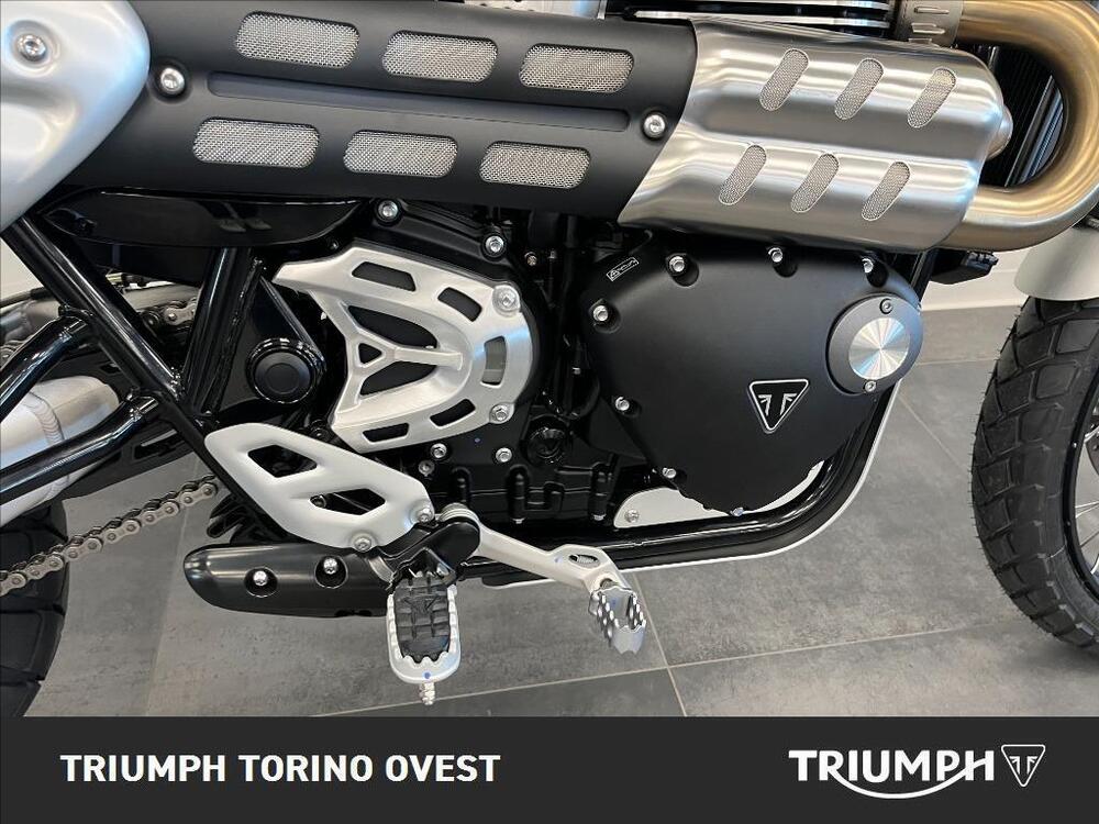 Triumph Scrambler 1200 XE (2024 - 25) (8)