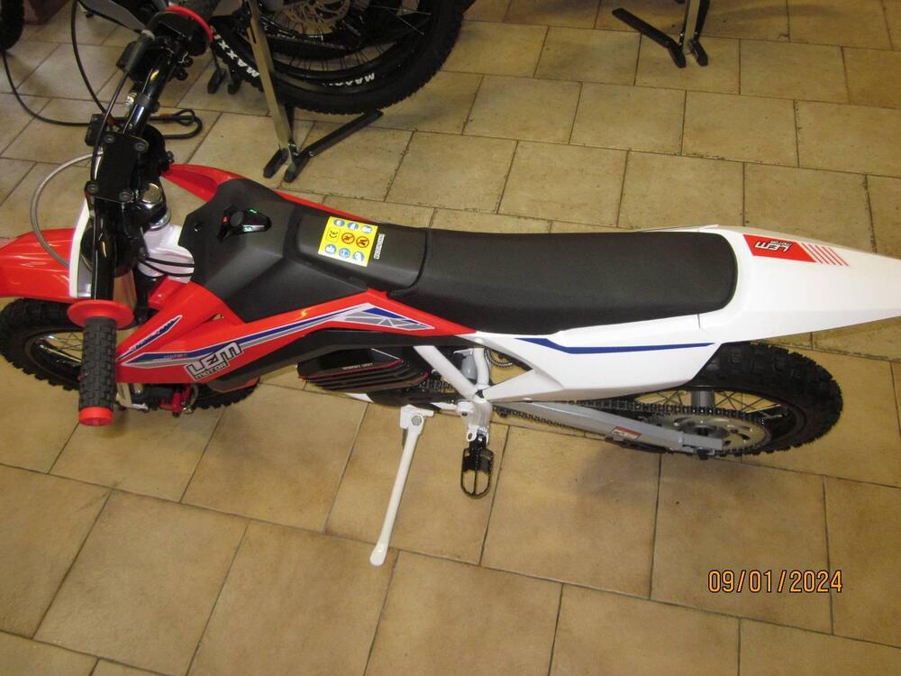 Lem Motor Cross 50 14/12" (2020) (6)