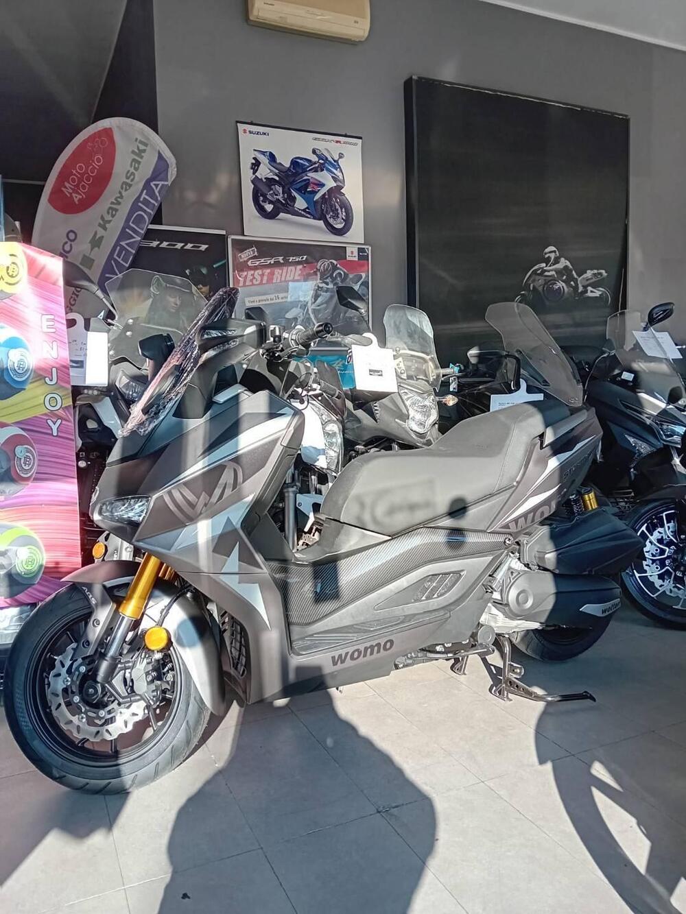 Wottan Motor Storm-R 300 (2023 - 25) (2)