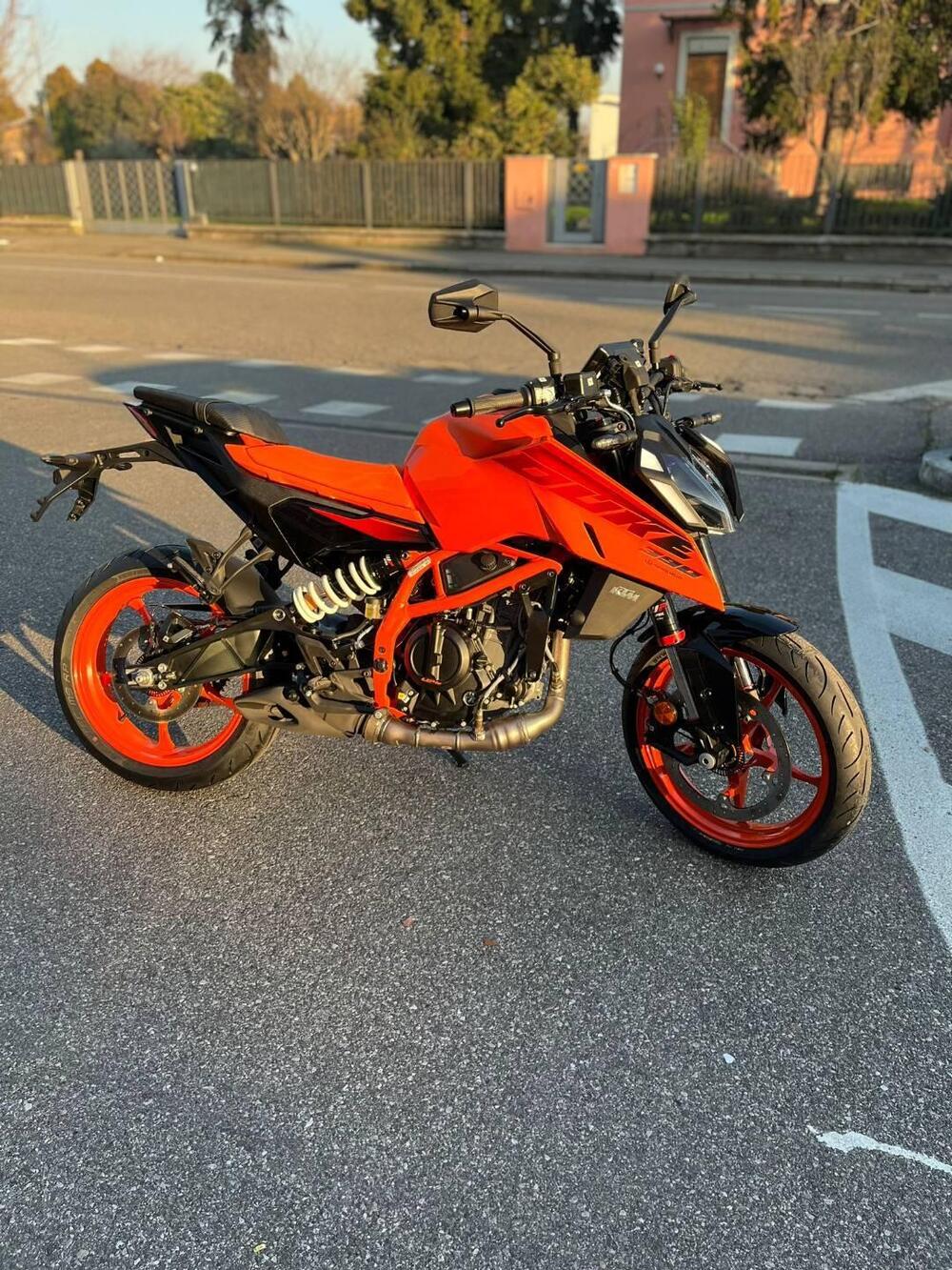 KTM 390 Duke (2024 - 25)