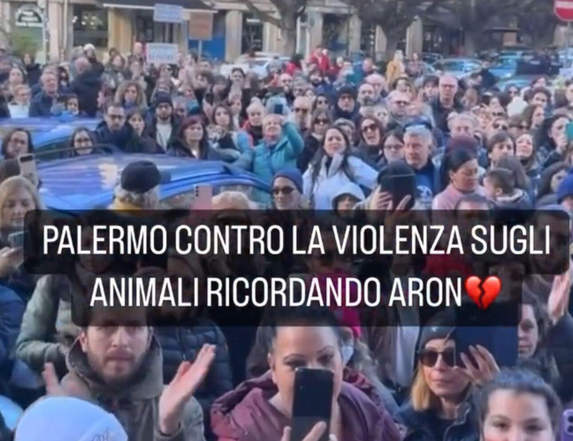 La manifestazione a Palermo per il cane Aron