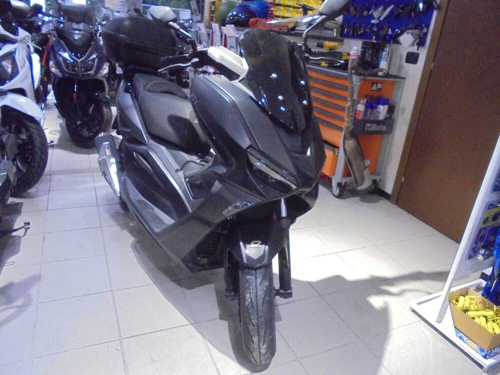 Over Brera 300 (2021 - 23) (7)