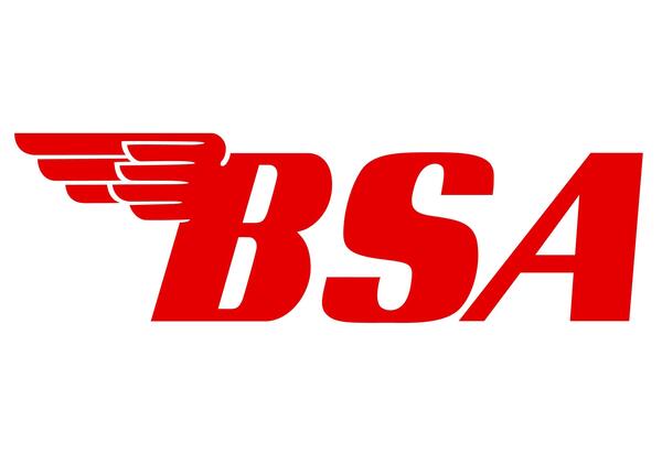 Bsa