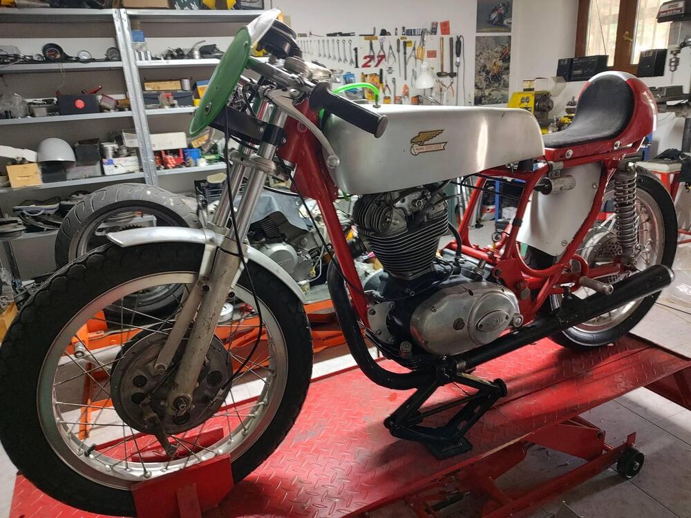 Ducati 250 CORSA (2)