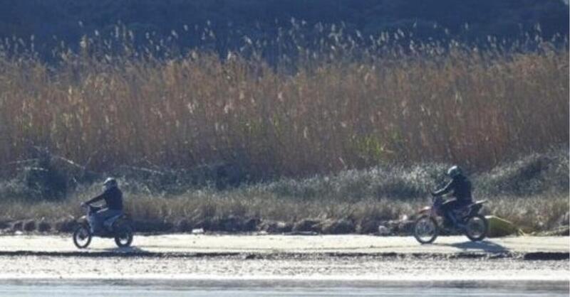 Beccati due motociclisti nell&rsquo;area protetta di Torre Guaceto