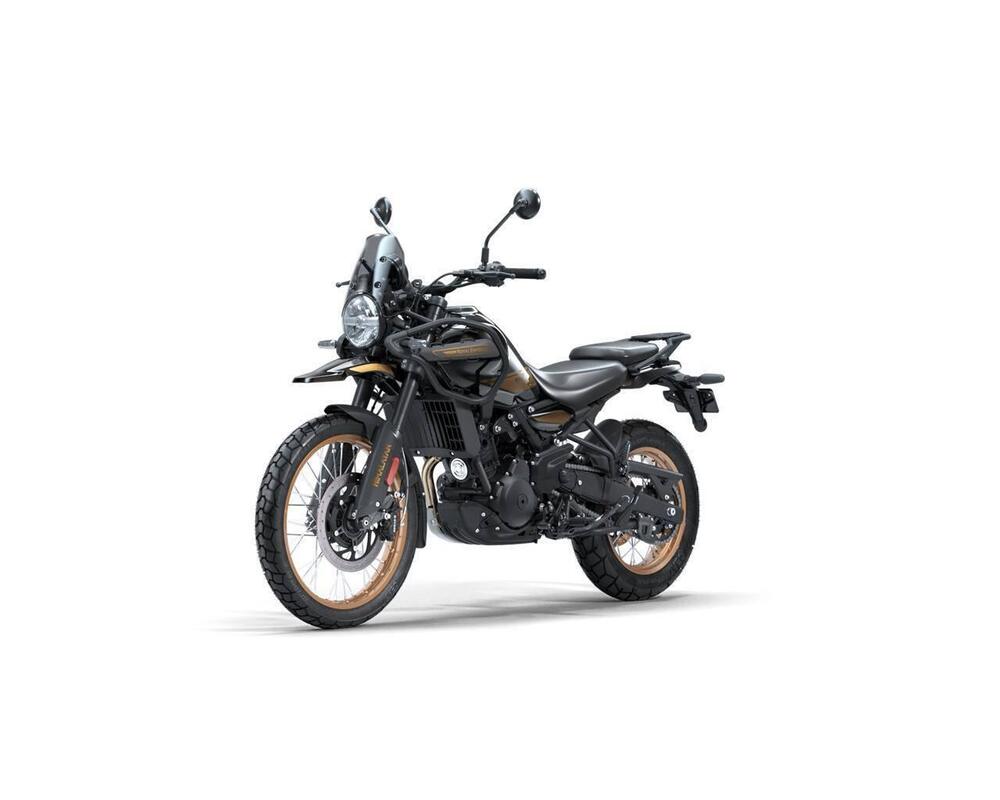 Royal Enfield Himalayan 450 (2024 - 25) (6)