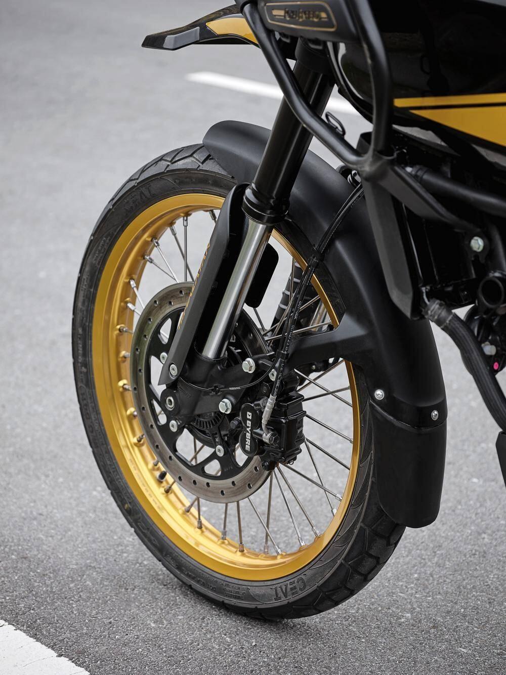 Royal Enfield Himalayan 450 (2024 - 25) (6)