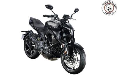 Zontes ZT350-R1 (2022 - 25) nuova