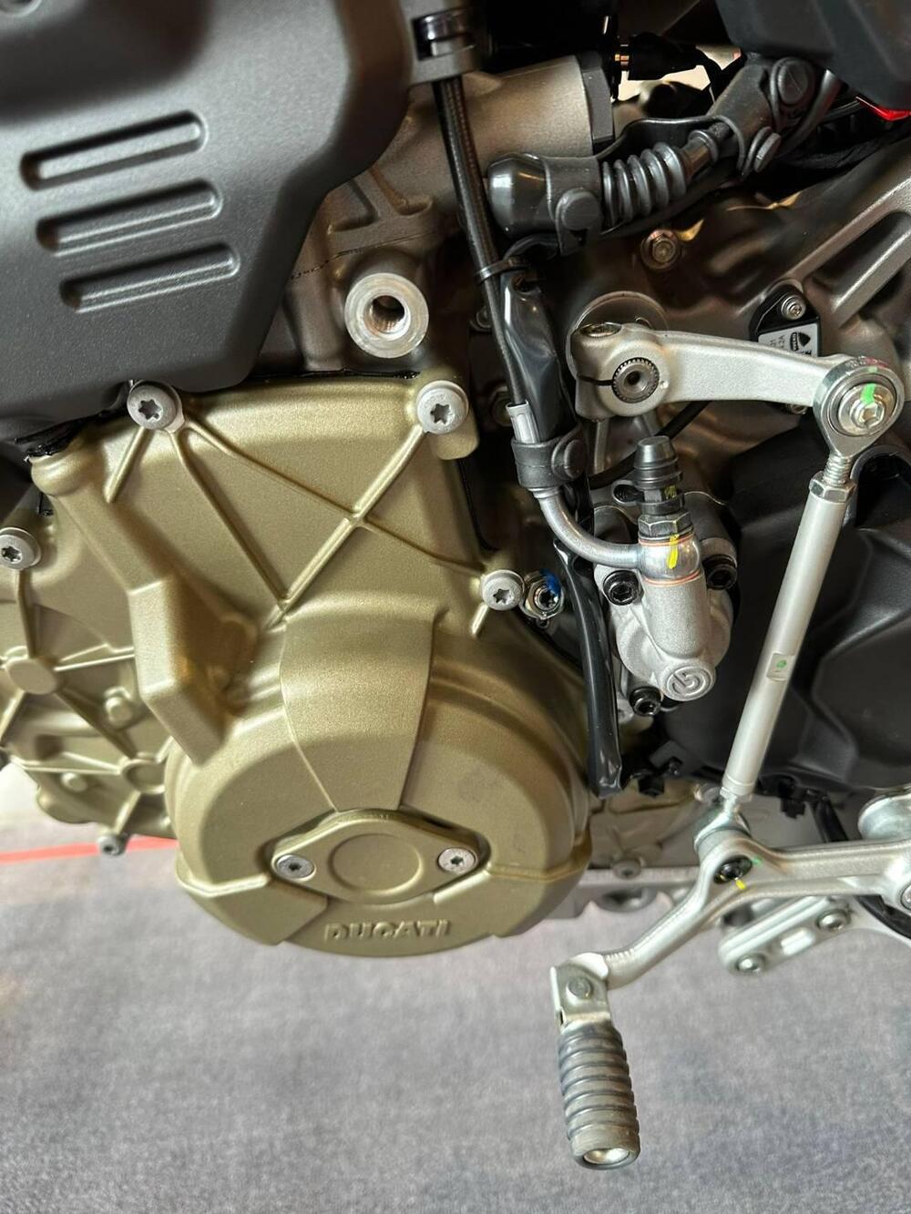 Ducati Hypermotard 698 Mono (2024 - 25) (7)