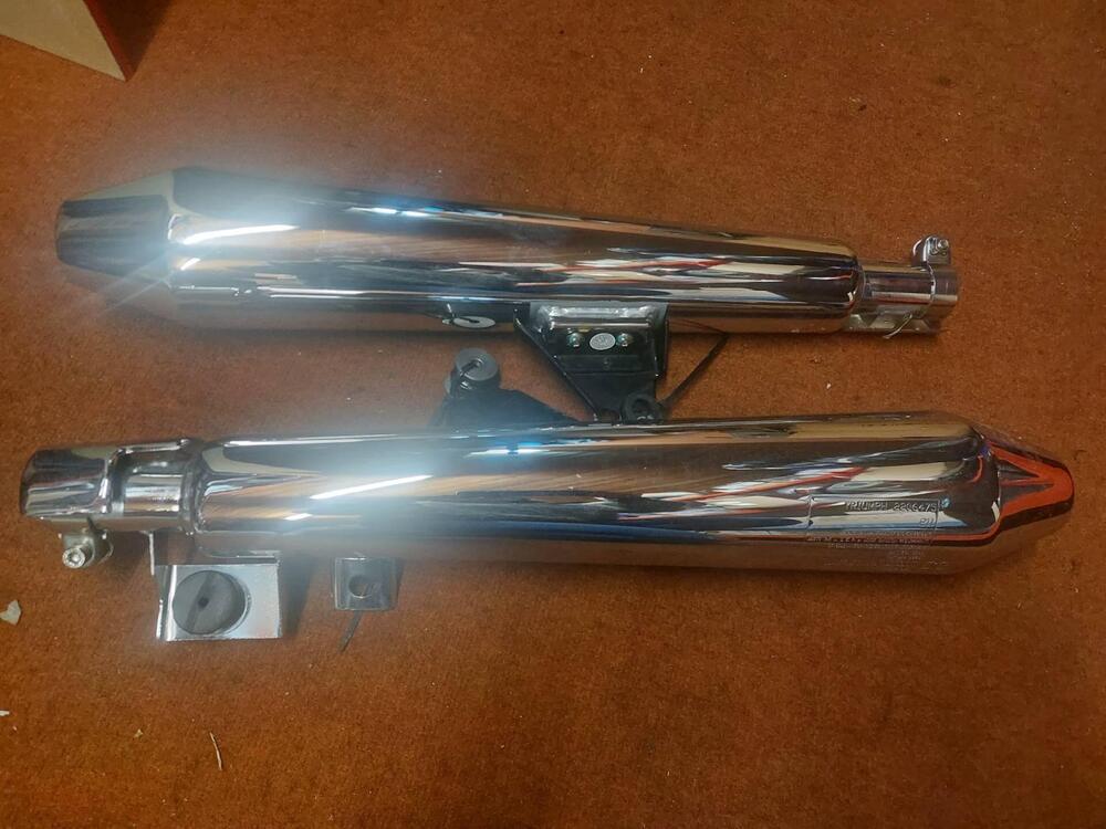 MARMITTE Triumph (2)