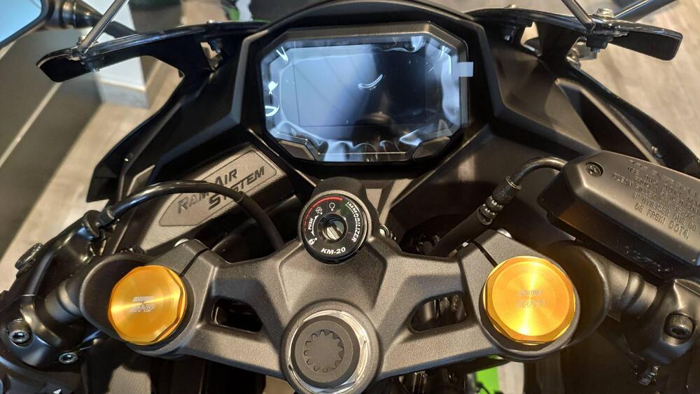 Kawasaki Ninja ZX-4R (2024 - 26) (8)