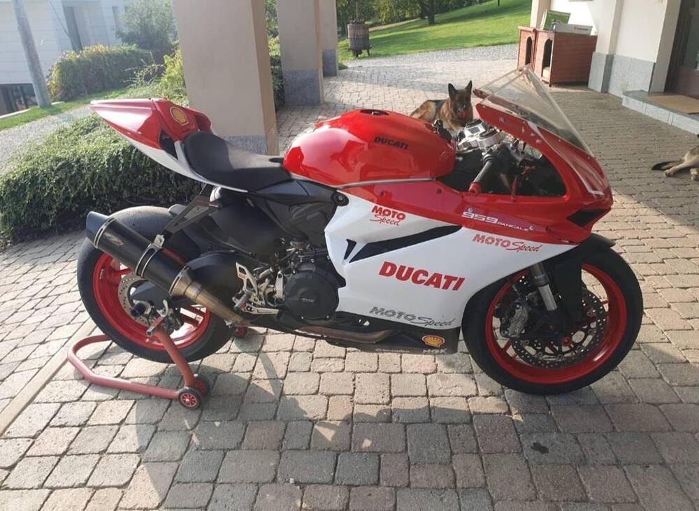 SCARICO OMOLOGATO DUCATI PANIGALE 959  (4)