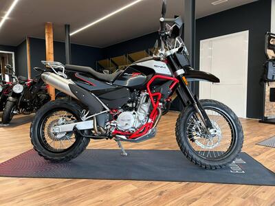 Swm Superdual 600 T (2023 - 24) nuova