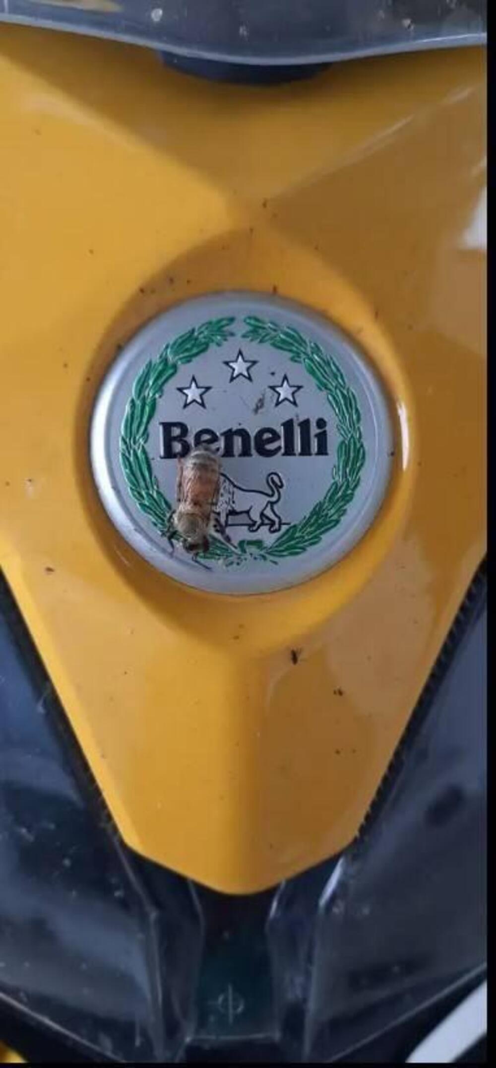 Benelli TRK 502X (2021 - 26) (3)