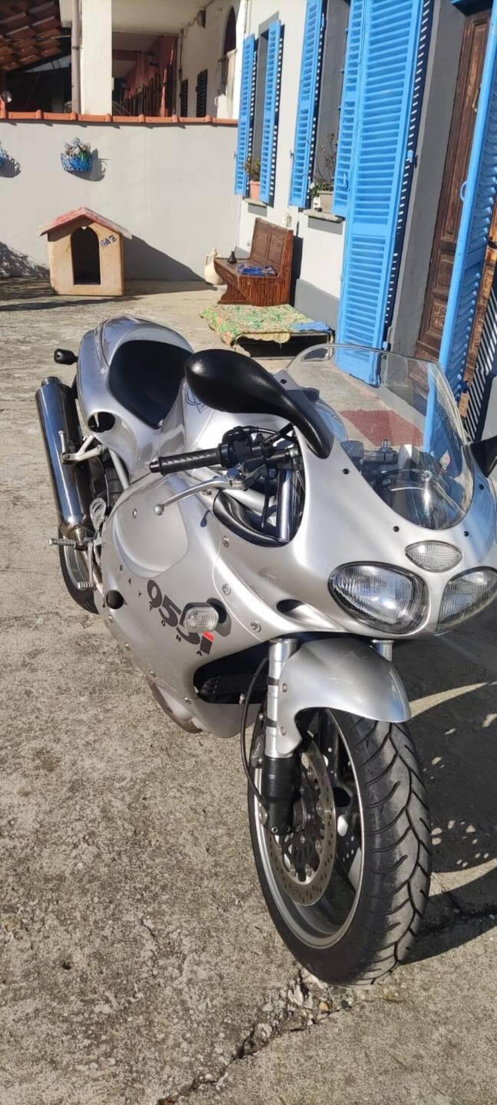 Triumph Daytona 955 I (1999 - 01)