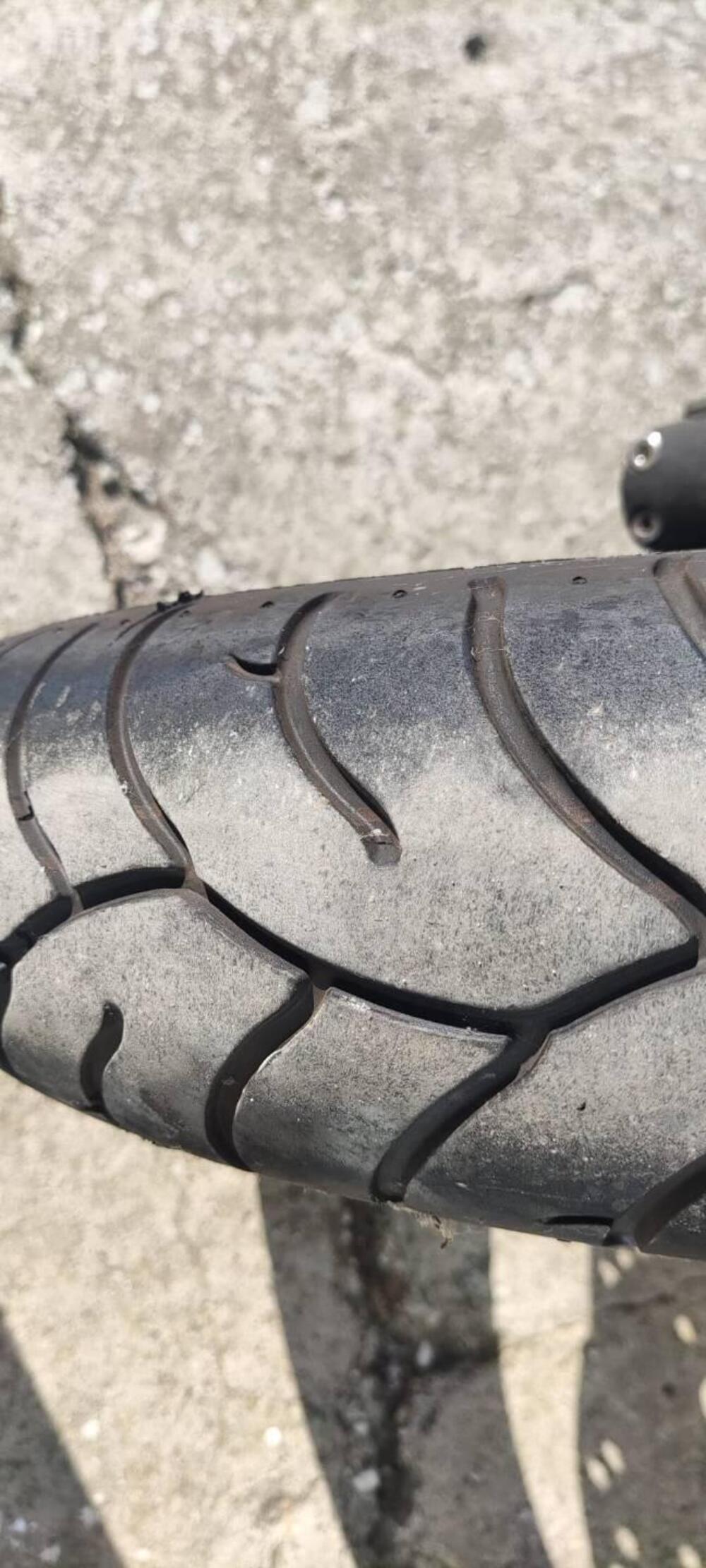 Triumph Daytona 955 I (1999 - 01) (2)