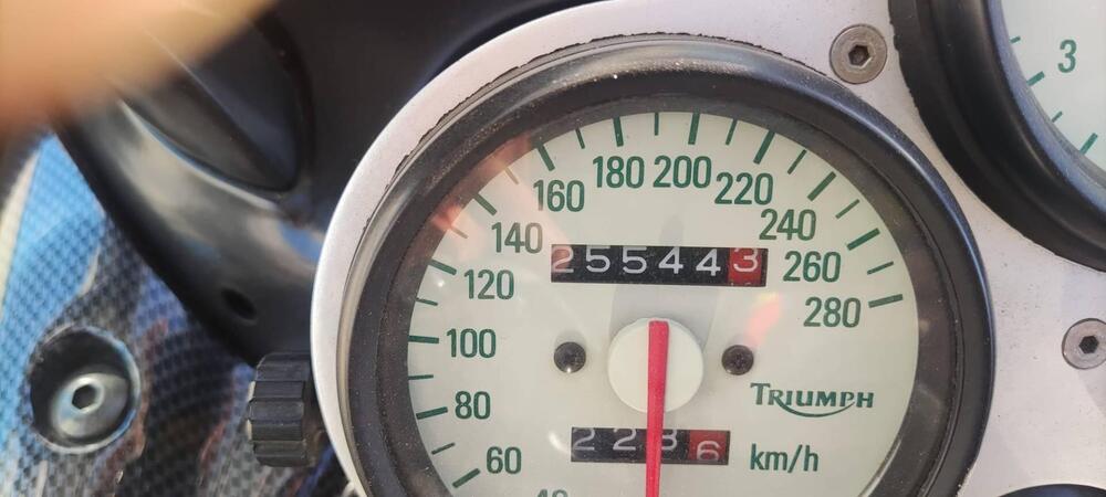 Triumph Daytona 955 I (1999 - 01) (4)