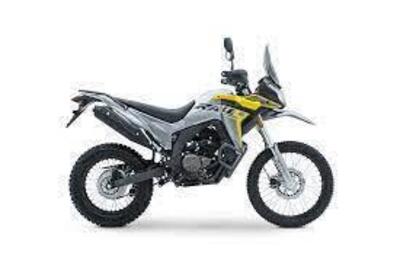 Voge Valico 300 Rally (2022 - 25) nuova