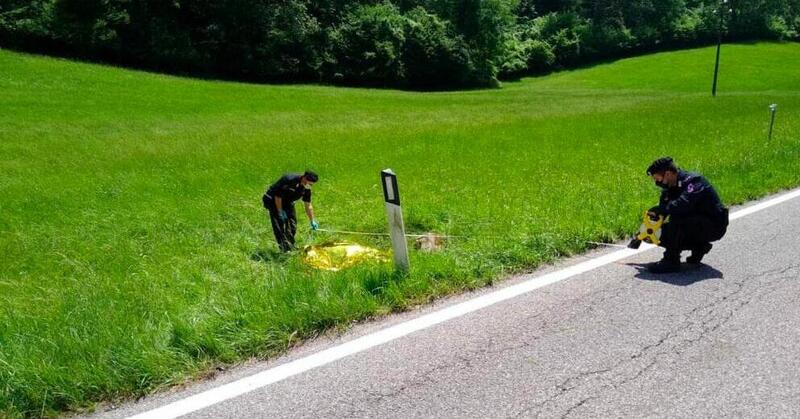 Belluno, perse la vita in moto perch&eacute; un cervo gli tagli&ograve; la strada: la Regione risarcir&agrave; la famiglia