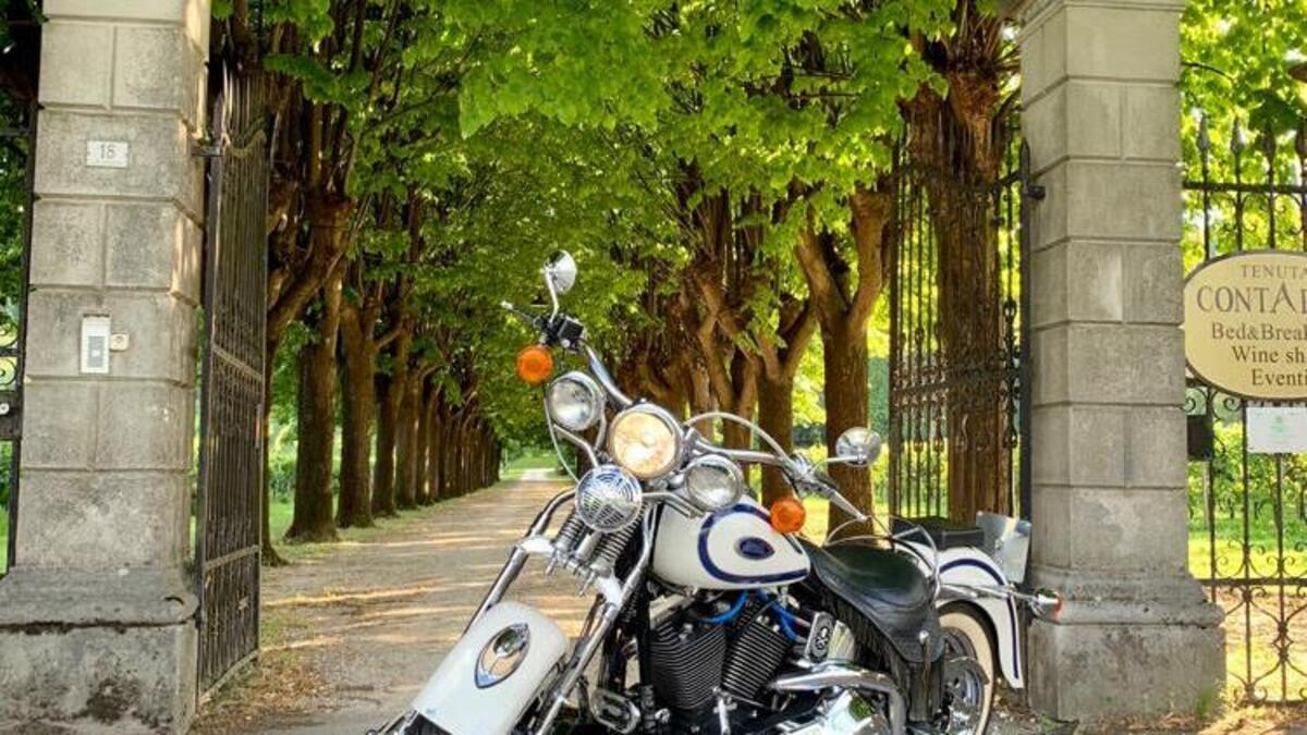 Vendo Harley Davidson 1340 Heritage Springer 1997 99 FLSTS Usata vendo-harley-davidson-1340-heritage-springer-1997-99-flsts-usata