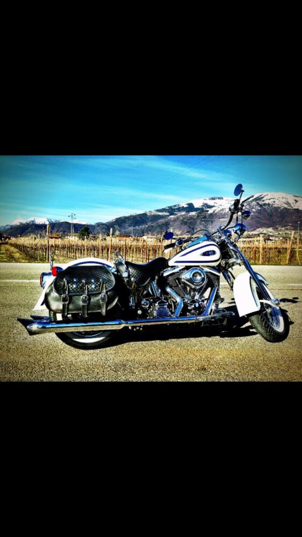 Harley-Davidson 1340 Heritage Springer (1997 - 99) - FLSTS (2)