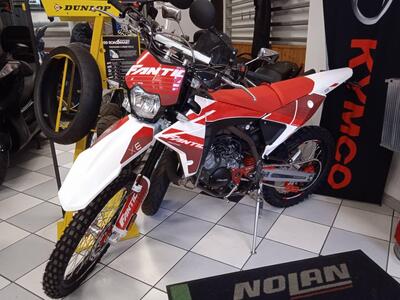 Fantic Motor XE 50 Performance (2023 - 24) nuova