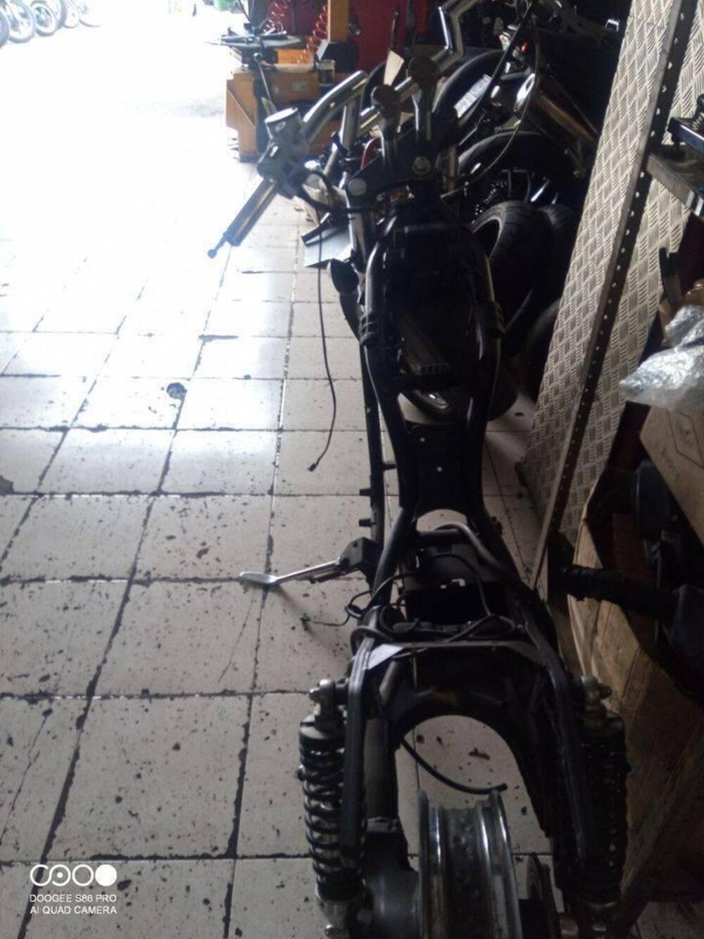 vendita Kawasaki (2)