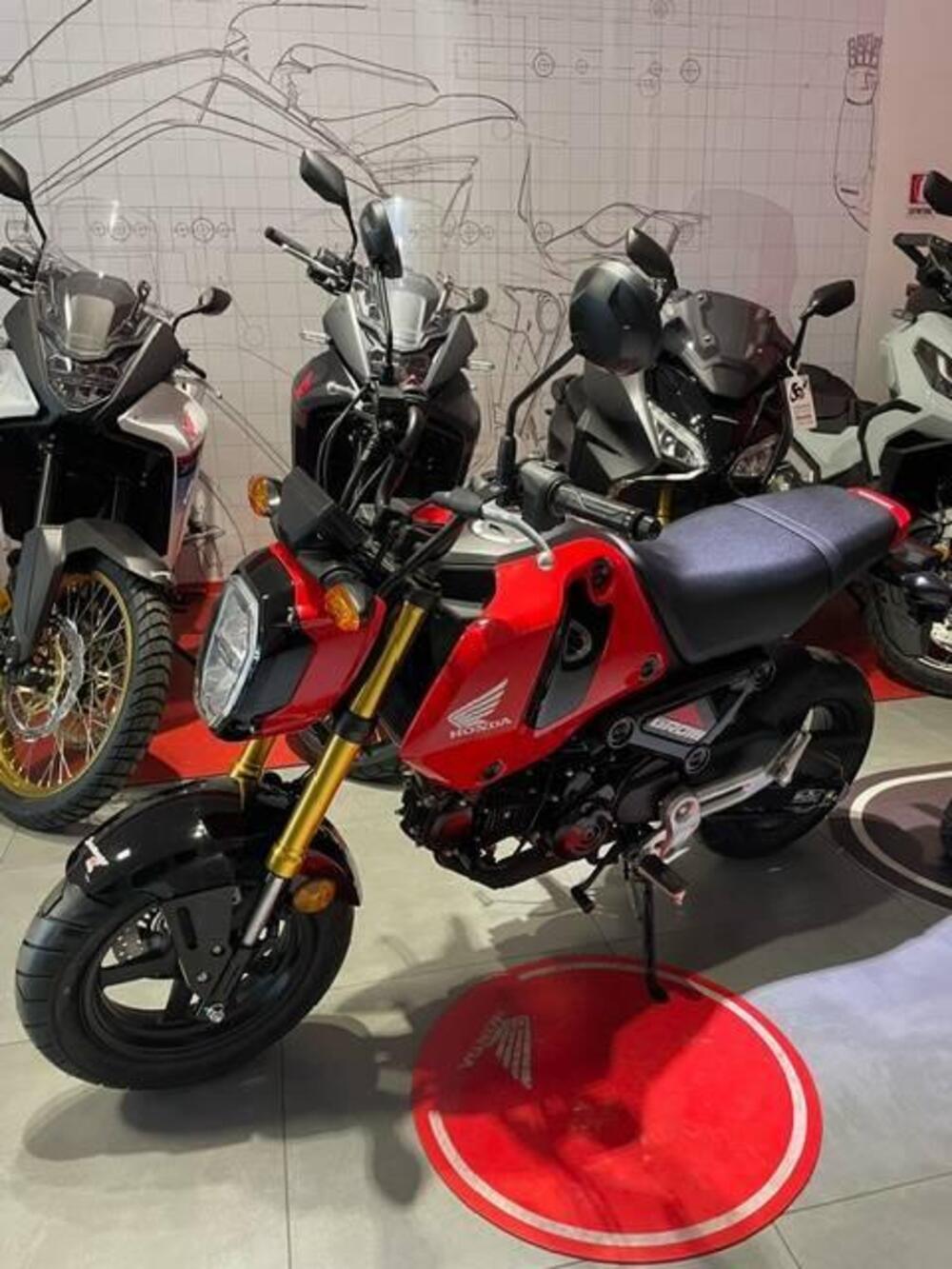 Honda MSX 125 Grom (2021 - 25)
