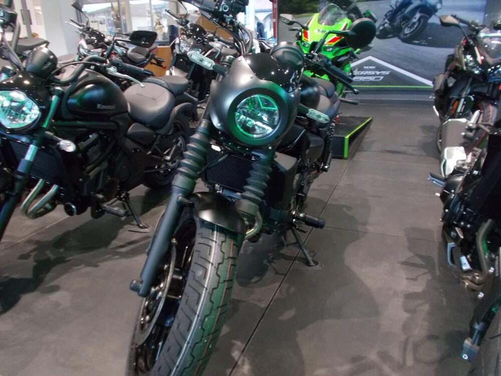 Kawasaki Eliminator 500 SE (2024 - 26) (3)