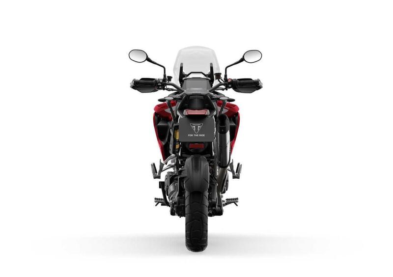 Triumph Tiger 1200 Tiger 1200 GT Pro (2024 - 25) (4)