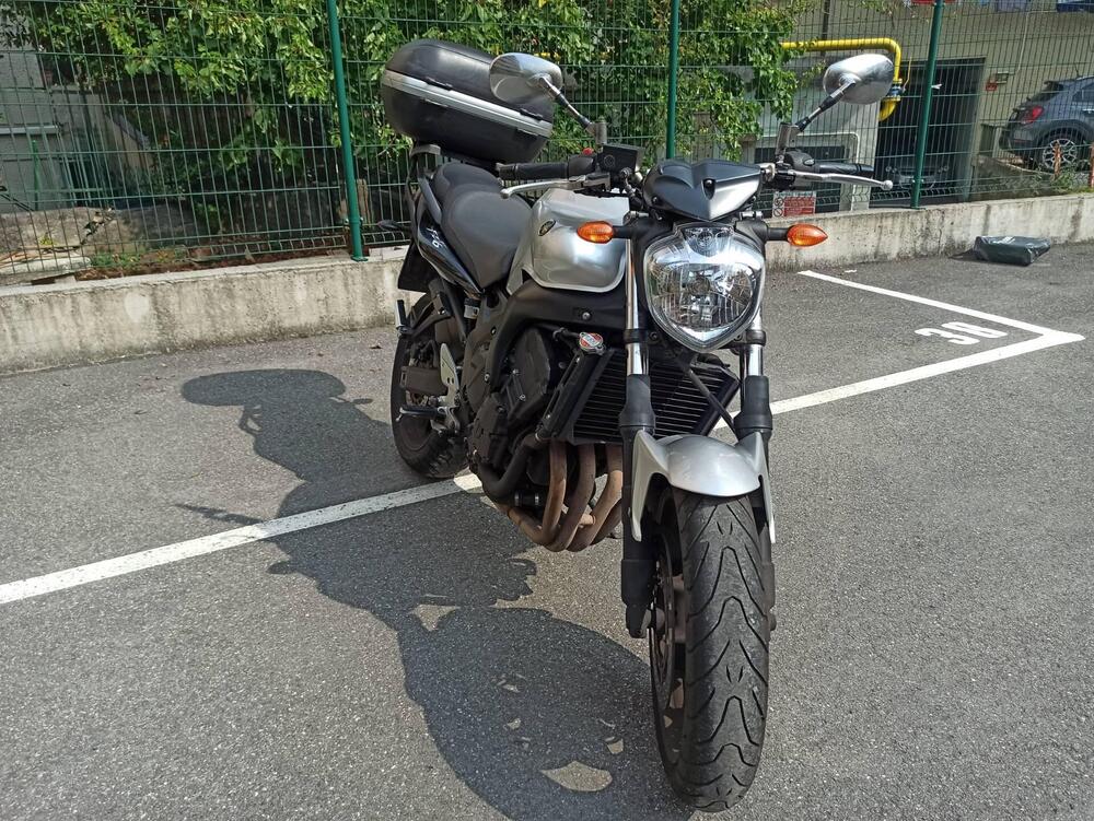 Yamaha FZ6 S2 (2007 - 11) (5)