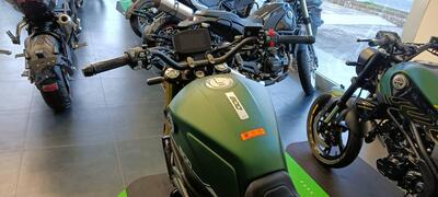 Benelli Leoncino 800 (2022 - 25) nuova