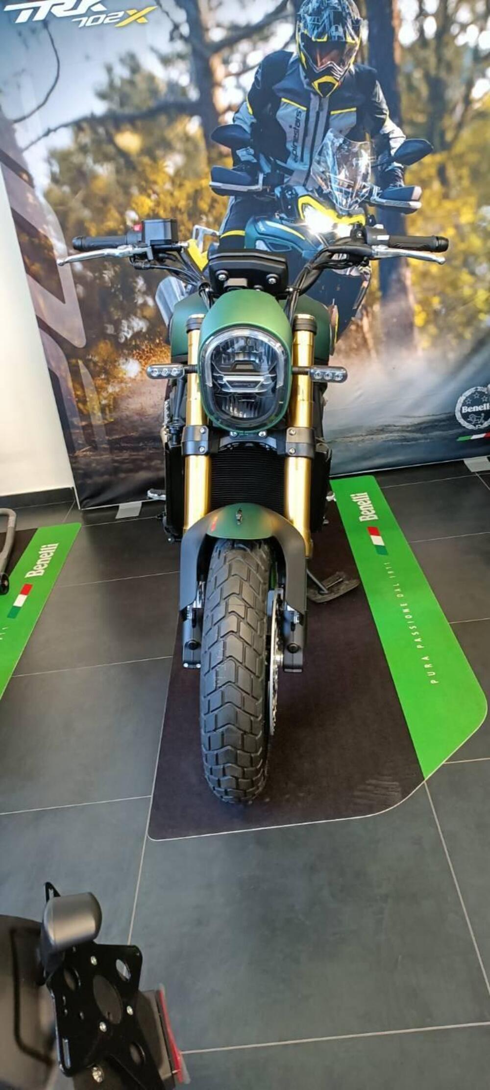 Benelli Leoncino 800 (2022 - 25) (6)