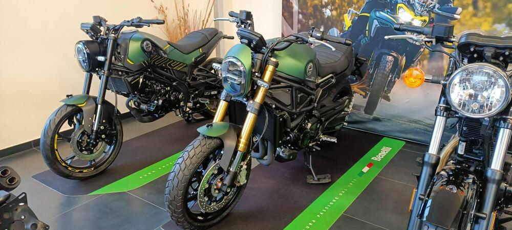 Benelli Leoncino 800 (2022 - 25) (7)