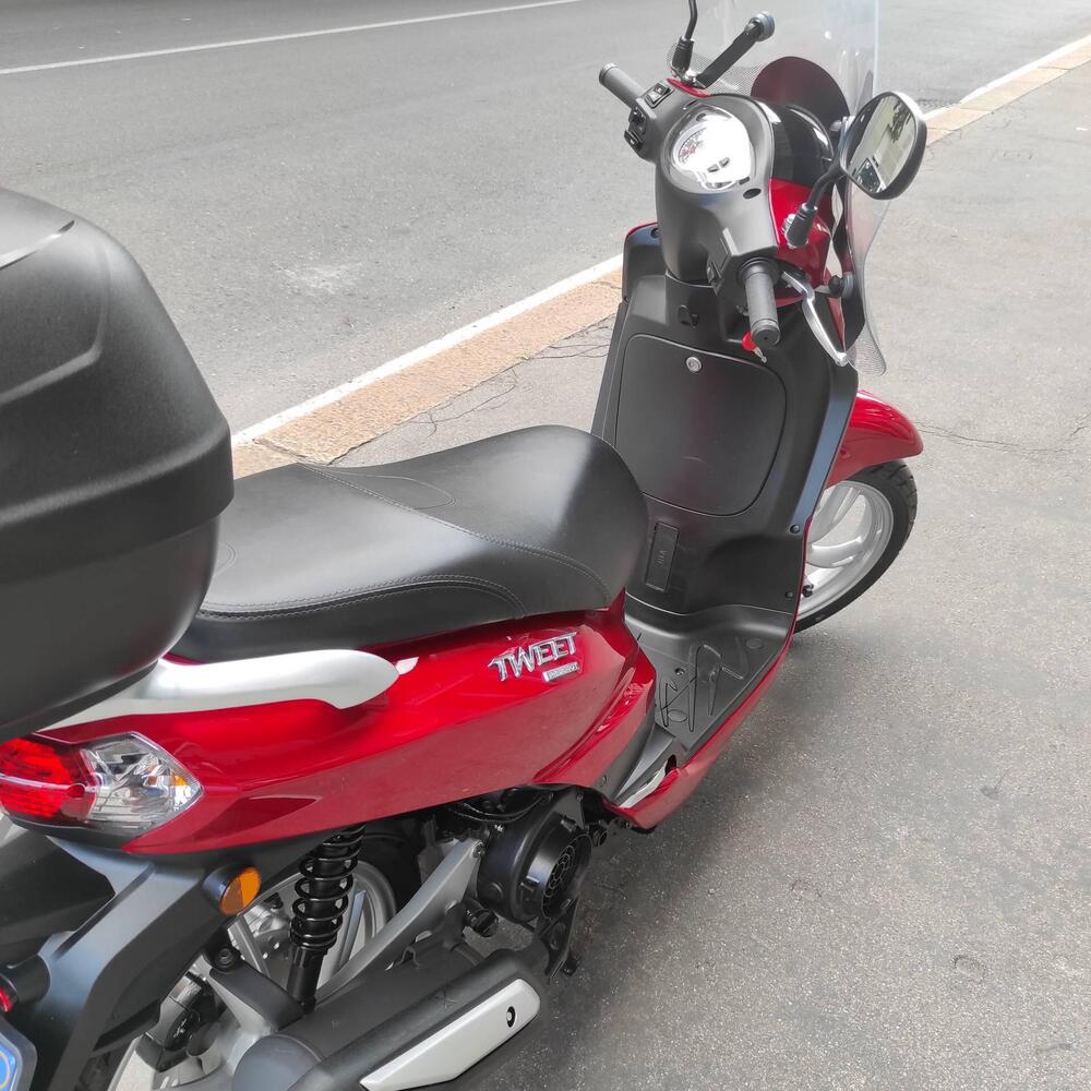 Peugeot Tweet 125i Active (2021 - 25) (19)