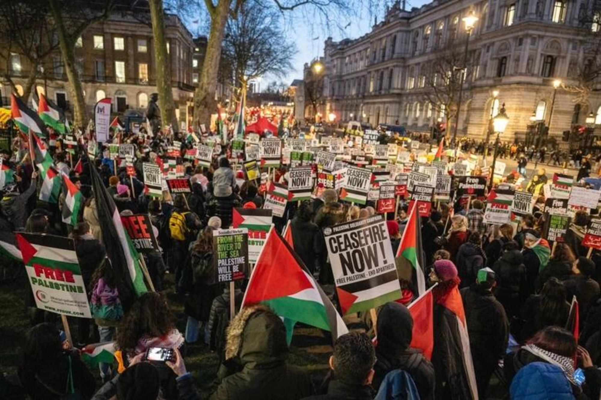 Manifestazione pro Palestina